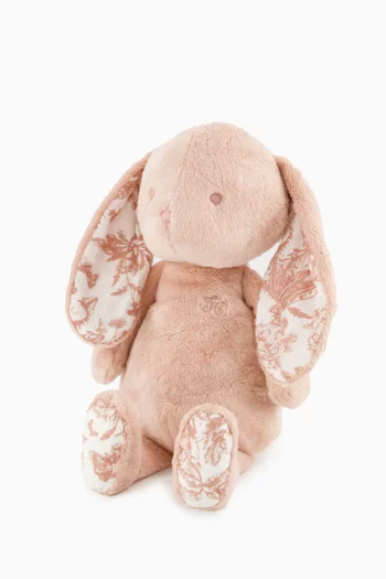 Augustine The Rabbit Plush Toy