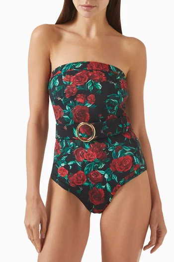 Whitney One-piece Swimsuit in Stretch Nylon
