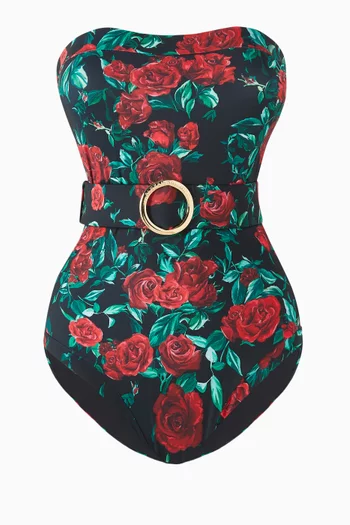 Whitney One-piece Swimsuit in Stretch Nylon