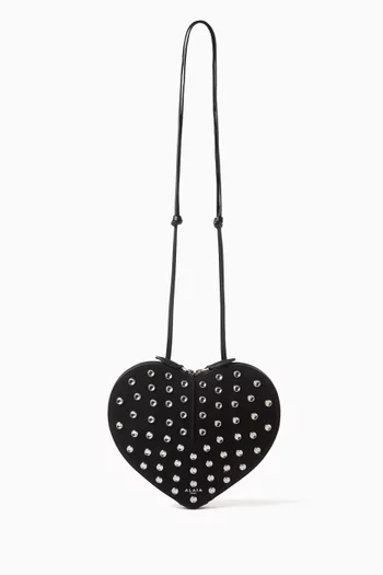 Le Coeur Crystal Crossbody Bag in Suede Leather
