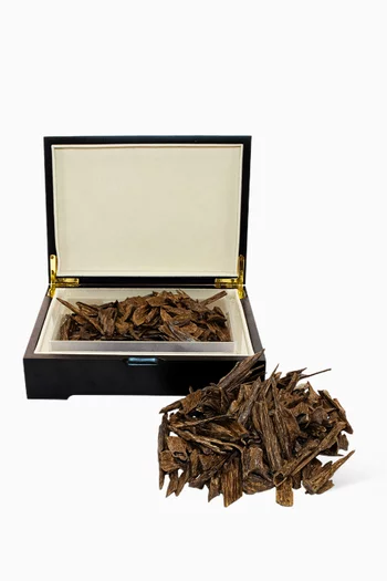 Oudh Reverie