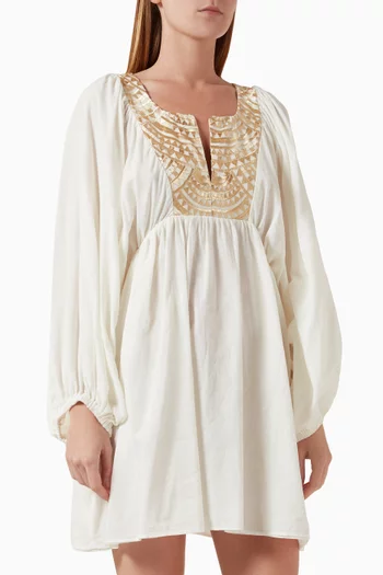 Embroidered Mini Dress