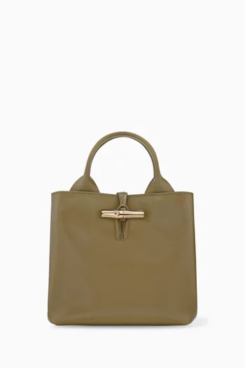 Small Le Roseau Tote Bag in Leather