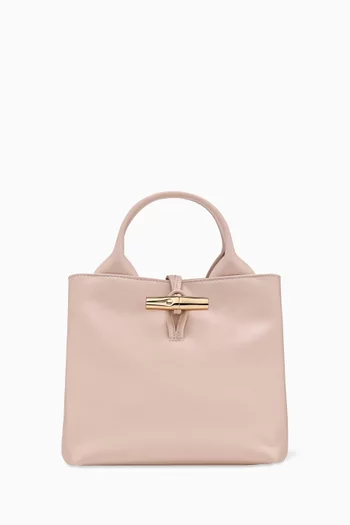 Small Le Roseau Tote Bag in Leather