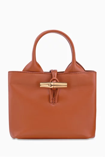 XS Le Roseau Tote Bag in Calfskin Leather