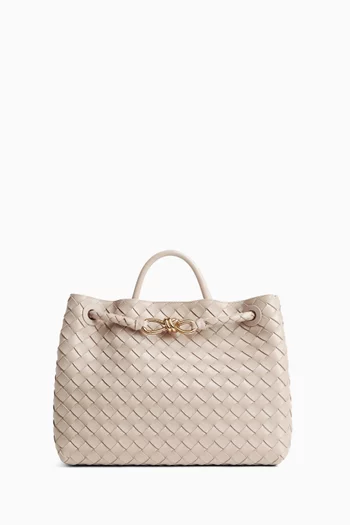 Medium Andiamo Crossbody Bag in Intrecciato Leather