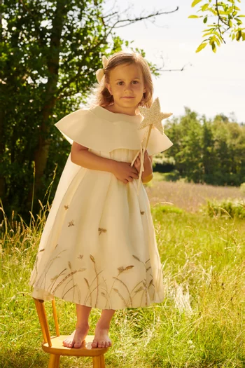 Embroidered Cape Dress in Silk-organza