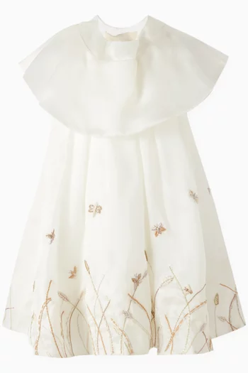 Embroidered Cape Dress in Silk-organza