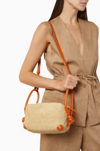 Loop Top Handle Bag in Raffia