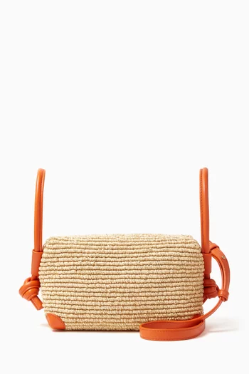 Loop Top Handle Bag in Raffia