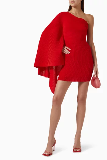 The Layne Mini Dress