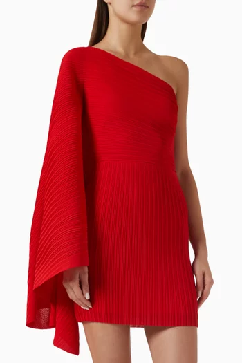The Layne Mini Dress