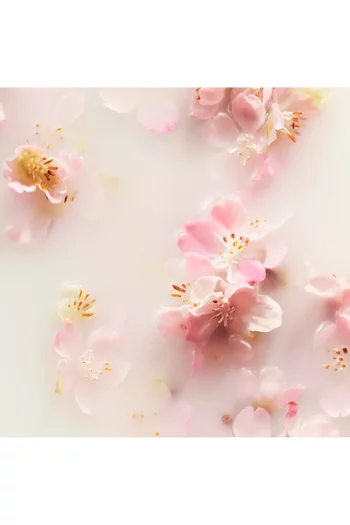 The Ritual of Sakura Refill Fragrance Sticks, 500ml