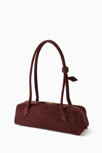 Medium Le Teckel Shoulder Bag in Suede