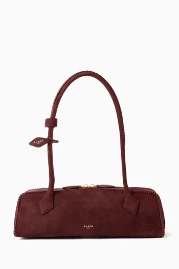Medium Le Teckel Shoulder Bag in Suede