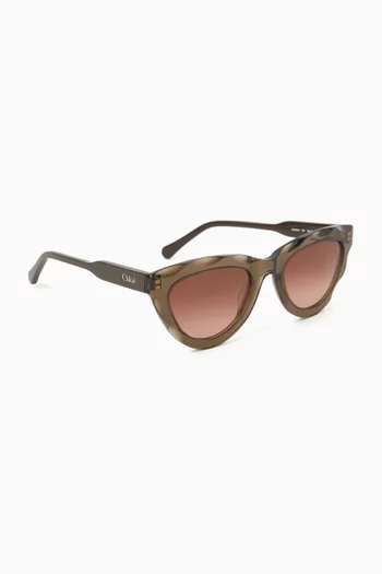 D-frame Sunglasses in Acetate