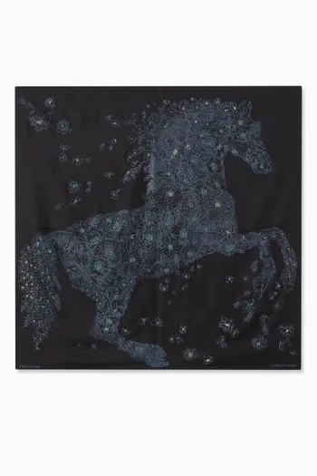Unused Robe Legere Embroidered Scarf 90 in Silk