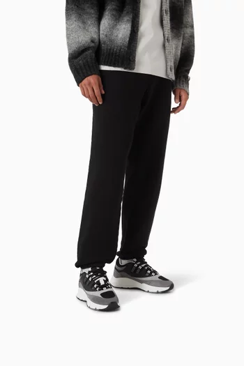 Aero Sneakers in Leather & Mesh