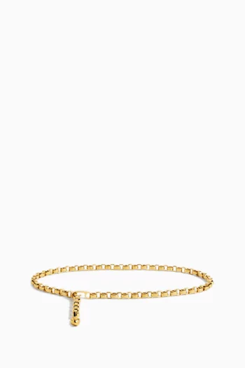 Pebble Chain Belt in 18kt Gold-plated Brass