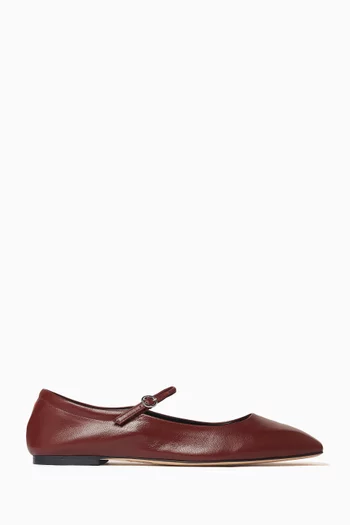 Uma Ballet Flats in Leather