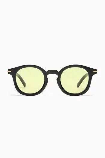 Hoodwinked Sunglasses in Plant Biomass