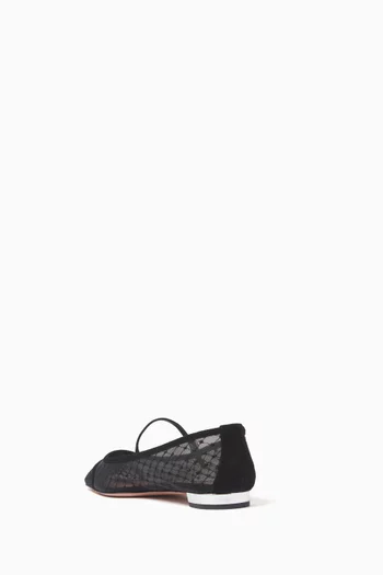 Juliette Embroidered Ballet Flats in Mesh