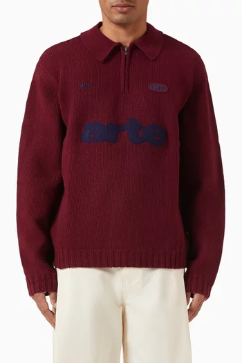 Logo Polo Sweater in Knit