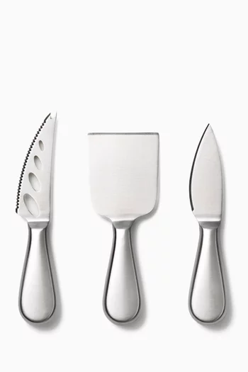 The Essentials Cheese Tools Kit Set