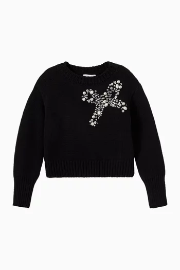 Pearl Embroidered Sweater in Knit