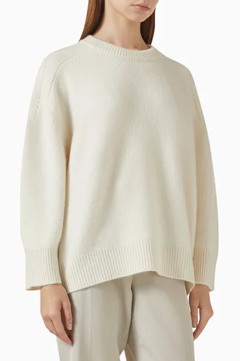 Diane Oversized Sweater in Cashmere