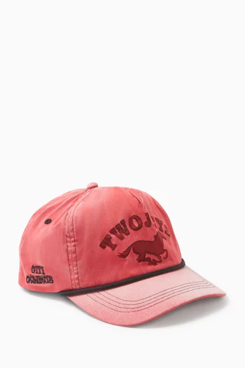 Wild Horse Cap in Sunfaded Cotton