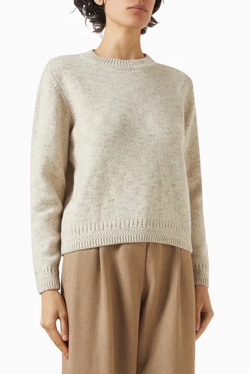 Silty Knit Sweater in Merino Wool