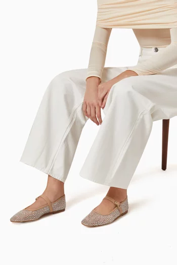 Mary Jane Ballerina Flats in Crystal Mesh