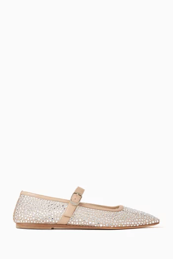 Mary Jane Ballerina Flats in Crystal Mesh