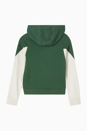 Dri-FIT Pull-over Hoodie in Fleece