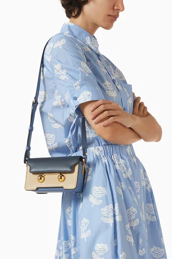 Mini Trunkaroo Shoulder Bag in Calfskin Leather