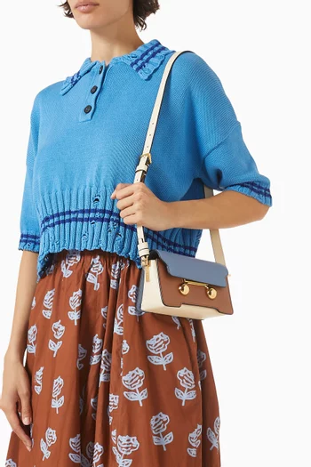 Mini Trunkaroo Shoulder Bag in Calfskin Leather