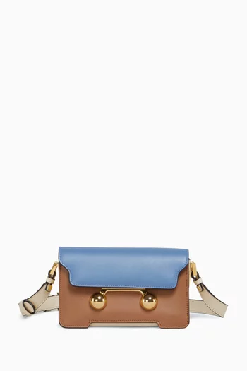 Mini Trunkaroo Shoulder Bag in Calfskin Leather