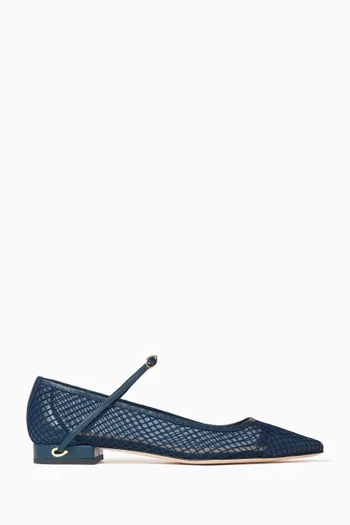 Lorenzo 20 Ballerina Flats in Mesh & Smooth Leather