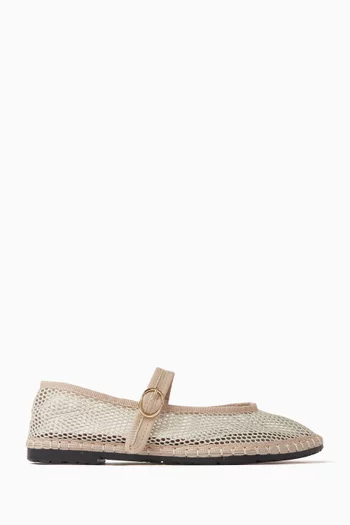 Isabella Ballet Flats in Mesh