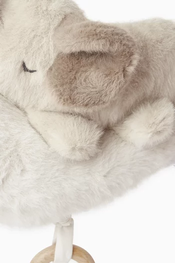 دلاية موسيقية ماندي