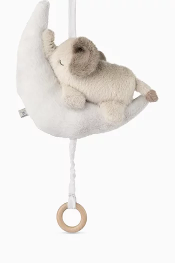 دلاية موسيقية ماندي