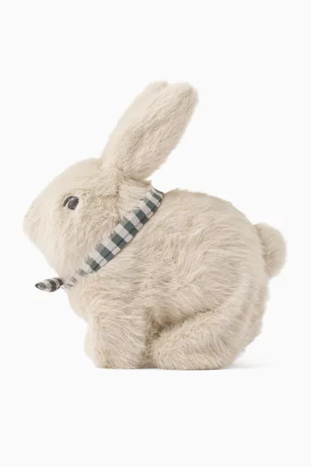 Dev Motoric Rabbit Plush Toy