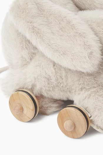 Pera Pull Along Rabbit