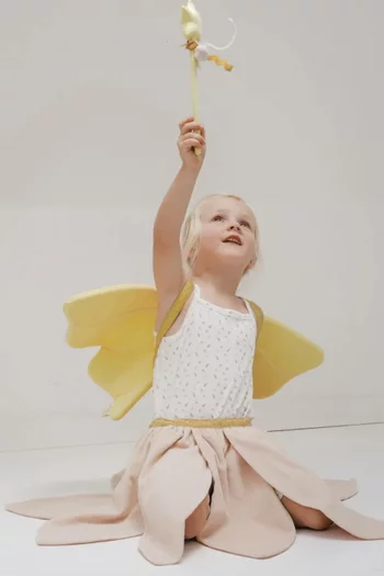 Fairy Dress-up Set