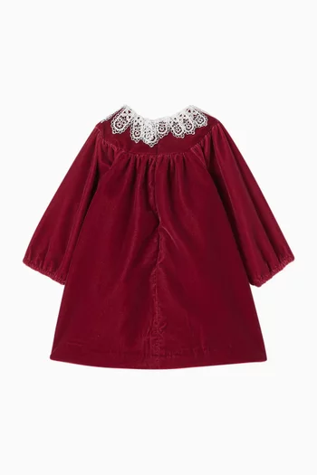 Lace-trim Dress in Velvet