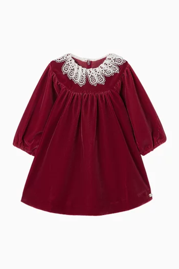 Lace-trim Dress in Velvet