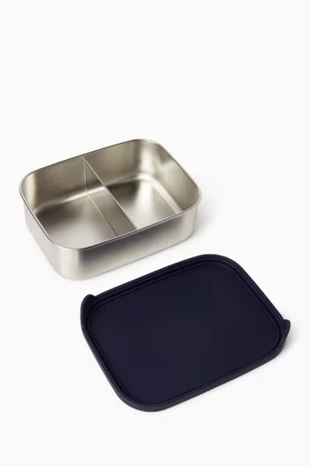 Dino Stainless Steel Lunchbox