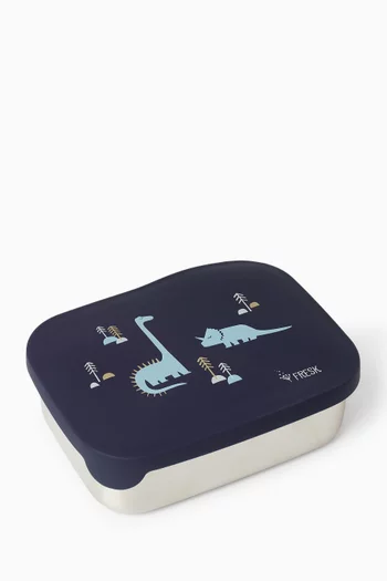 Dino Stainless Steel Lunchbox