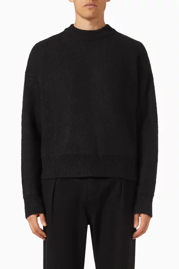 Crewneck Sweater in Alpaca Fleece